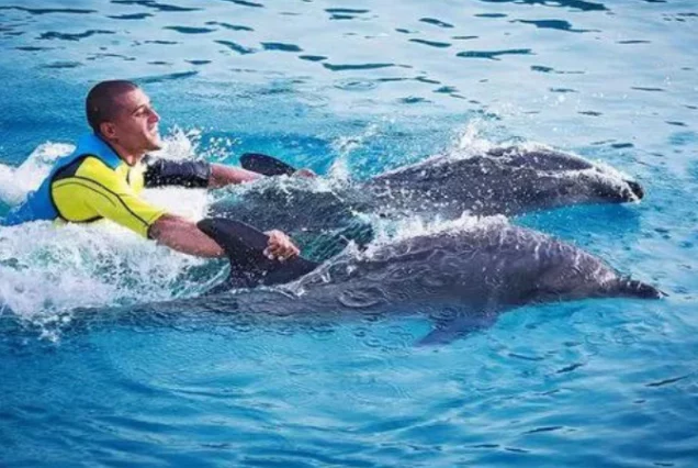 Luxury Resorts in Hurghada
