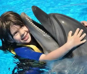 swimming with dolphins hurghada