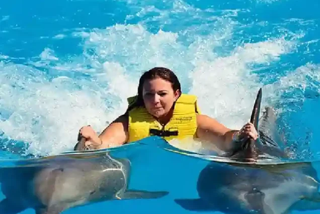 Close-up of a tourist swimming with a friendly dolphin.