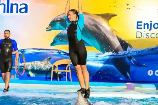 Best Dolphin Show Hurghada tour at Makadi Bay amphitheater.