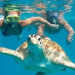 Best Abu Dabab tour from Hurghada private snorkeling experience.