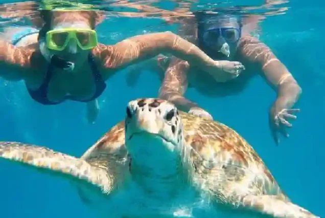 Best Abu Dabab tour from Hurghada private snorkeling experience.