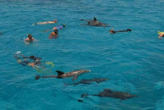 Coral reef tours in Hurghada