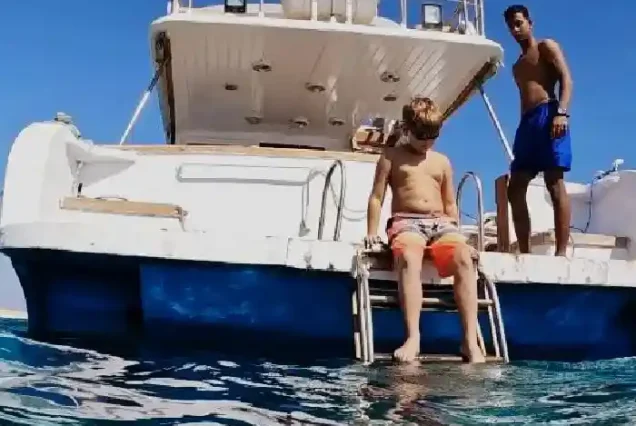 Beautiful Bottlenose dolphins jumping near the boat in Hurghada.