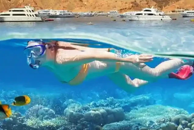 Snorkeling in Hurghada