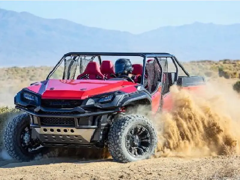 3-Hour Private Dune Buggy Safari