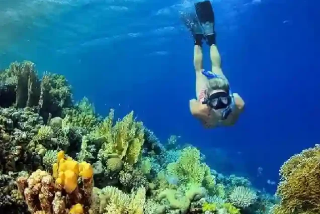 Crystal clear Red Sea water and snorkeling gear on the boat.