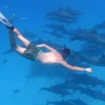 Snorkeling trips in Hurghada
