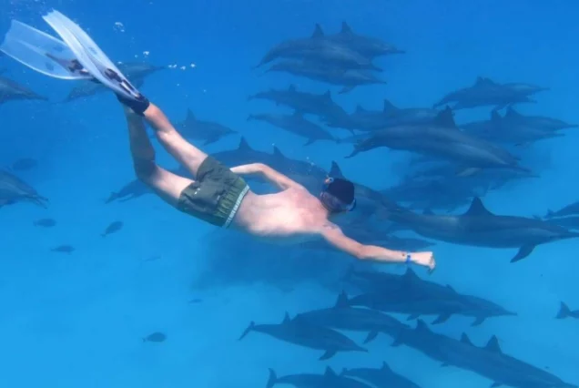 Snorkeling trips in Hurghada