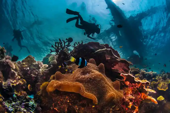 Diving in the Red Sea, Hurghada - Hurghada Trips - Manolo Tours Egypt
