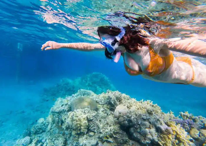 Snorkeling at the coral reefs of Magawish Al-Sughra in the Red Sea, Hurghada - Hurghada Trips - Manolo Tours Egypt