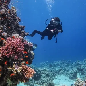 Best Diving tour in Hurghada for beginners Red Sea exploration.
