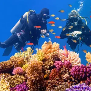 Diving tour in Hurghada