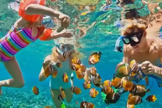 Snorkeling stop during Hula Hula Island Hurghada tour Red Sea.
