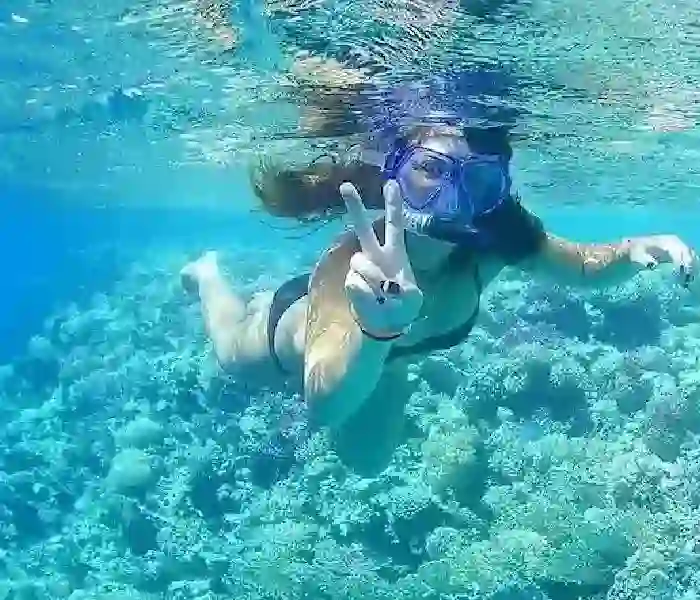 Best Snorkeling in Hurghada Red Sea Fish