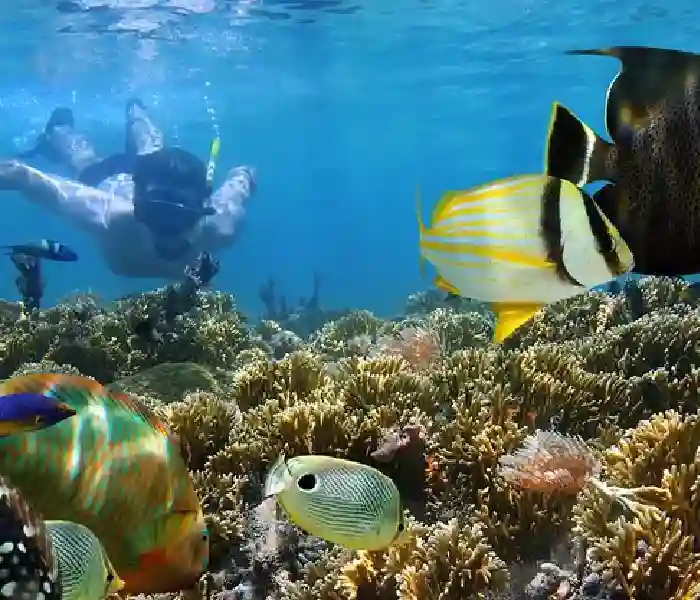 Best Snorkeling in Hurghada Trips