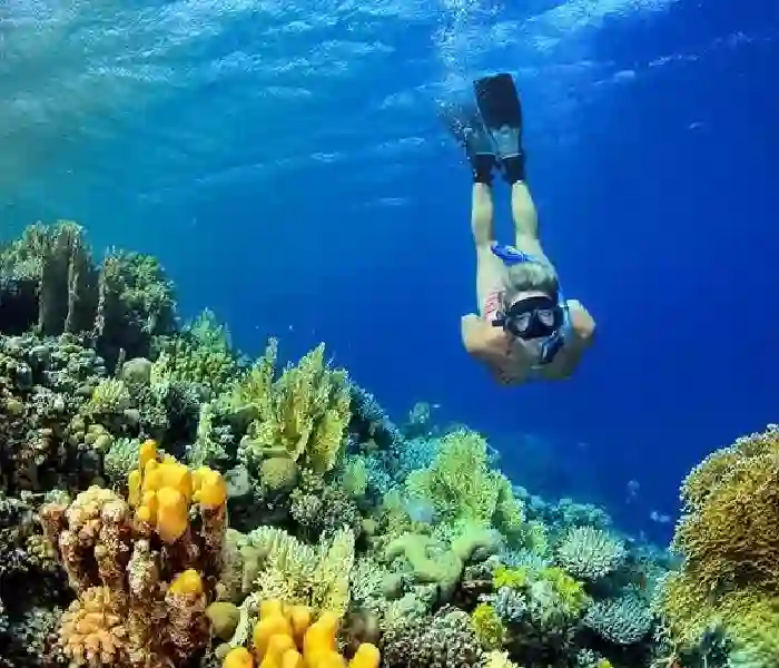 Coral Ergs in Hurghada